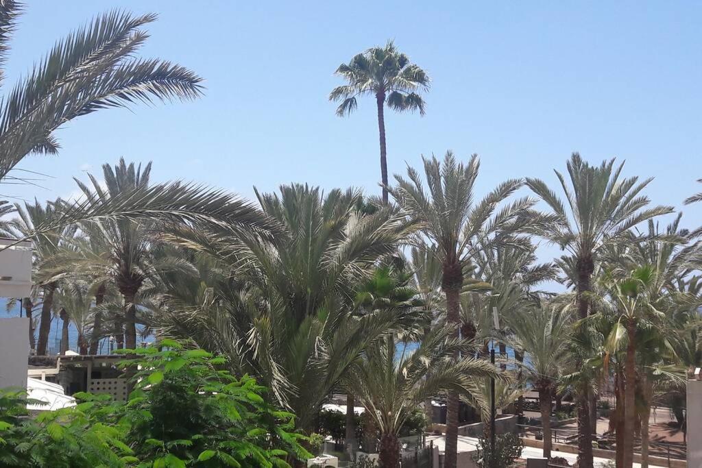 Guayero, Bel Appartement A 50M De La Mer Los Cristianos  Exterior photo